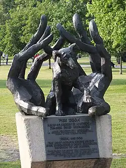 Le chien Jok à Cracovie.