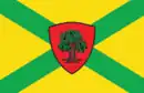Drapeau de Dokoutchaïevsk