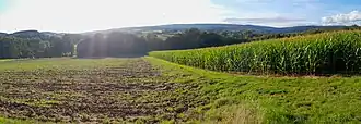 Vue vers le massif du Dollberg-Weißfels depuis Achtelsbach.