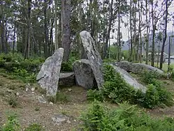 Image illustrative de l’article Pedra Cuberta
