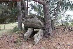 Image illustrative de l’article Dolmen d'Alleuzet