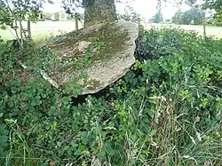 Dolmen de Bellans.