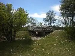 Image illustrative de l’article Dolmens de Changefège