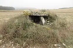 Image illustrative de l’article Dolmen de Peyrelevade (Gorges du Tarn Causses)