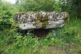 Roches-Prémarie-Andillé