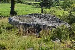 Image illustrative de l’article Dolmen de Recoules