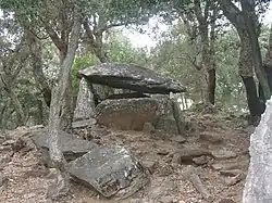 Image illustrative de l’article Dolmen de la Siureda