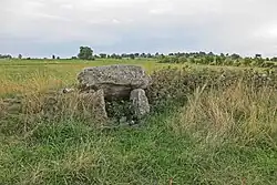 Image illustrative de l’article Tombe du Capitaine (Villedieu)