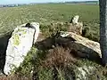 Vue rapprochée