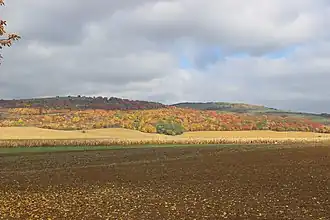 Moravské Lieskové