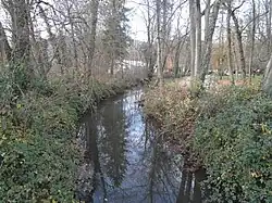 Bras de la Fure.
