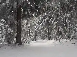 Piste du domaine.