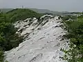 Donzurubo.