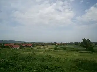 Donji Adrovac