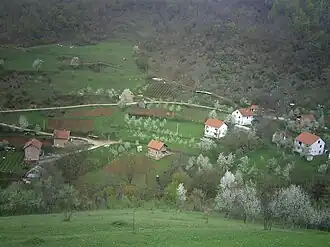 Donji Krančići
