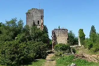 Image illustrative de l’article Château de Miremont (Mauzens-et-Miremont)