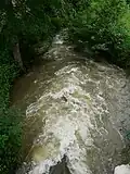 À Bussac, au moulin de Saute mouton