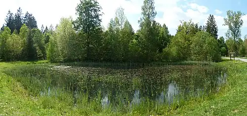 Étang du village