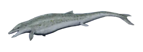 Dorudon