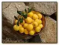 Fruits mûrs.