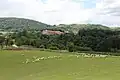 Dračić - panorama