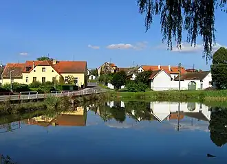 Dražičky
