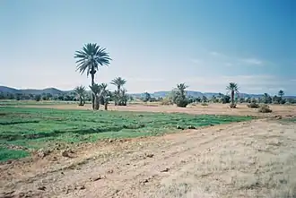 Vallée du Drâa