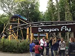 Dragon Fly