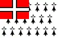 Drapeau de l'amirauté de Saint-Malo