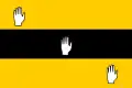 Drapeau des réguliers d'Abdelkader.