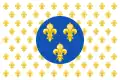 Drapeau légitimiste utilisé par les membres du CAL dans certaines manifestations