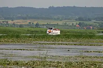 Image illustrative de l’article Lac Drużno