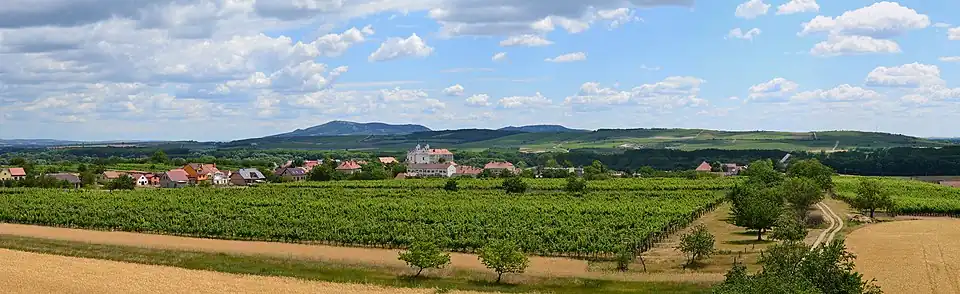 Image panoramique