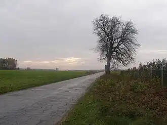 Kraśnica (Łódź)