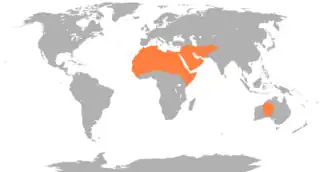 Description de l'image Dromadaire_répartition.png.