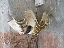 Bénitier.