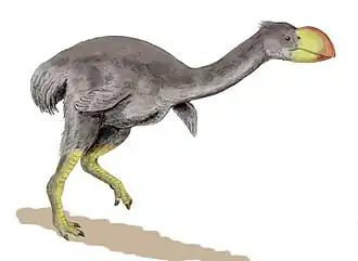 Description de cette image, également commentée ci-après