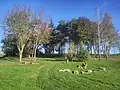 Aire arborée à la sortie Est du village