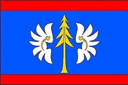 Drapeau de Druhanov