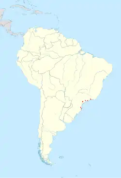Carte de l'Amérique du Sud, sur laquelle les sites de capture de Drymoreomys albimaculatus sont représentés par six points rouges, situés sur le pan est de la Serra do Mar, dans le Sud-Est du Brésil.
