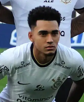 Image illustrative de l’article Du Queiroz
