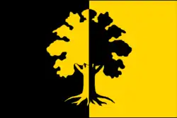 Drapeau de Dubí