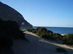 Dune littorale.
