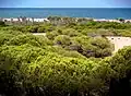 Dunes Guardamar