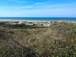 Les dunes d'Écault.
