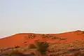 Dunes de sable rouges