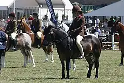Poney marron et noir monté par une jeune fille.