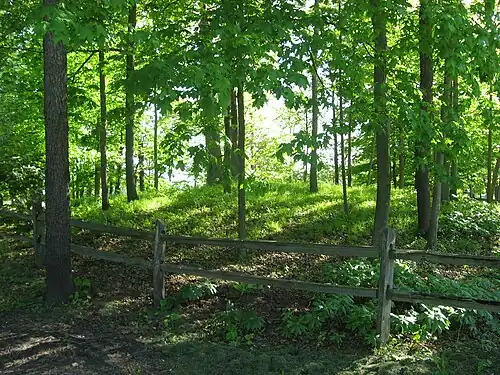 Photo en couleurs d'un tertre couvert d'herbe et de quelques arbres, entouré d'une petite barrière