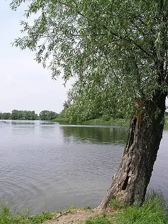 Dziekanów Polski