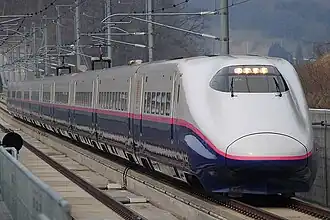 Description de l'image E2-1000 series on Hayate service at Iwate-Numakunai Station.jpg.